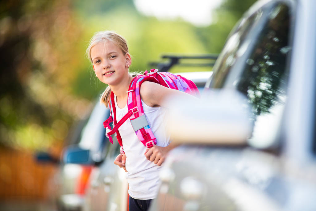 Child Learns Cross Road Pedestrian Crossing Traffic Rules Children