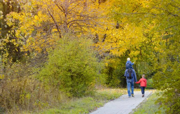 Dad walking down a trail with two small children, one riding piggyback, through a fall landscape of yellowing trees